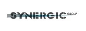 logo Synergic Group